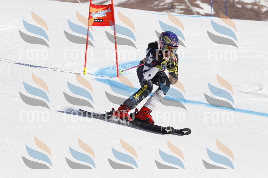 _U3G9079 | holidayphoto