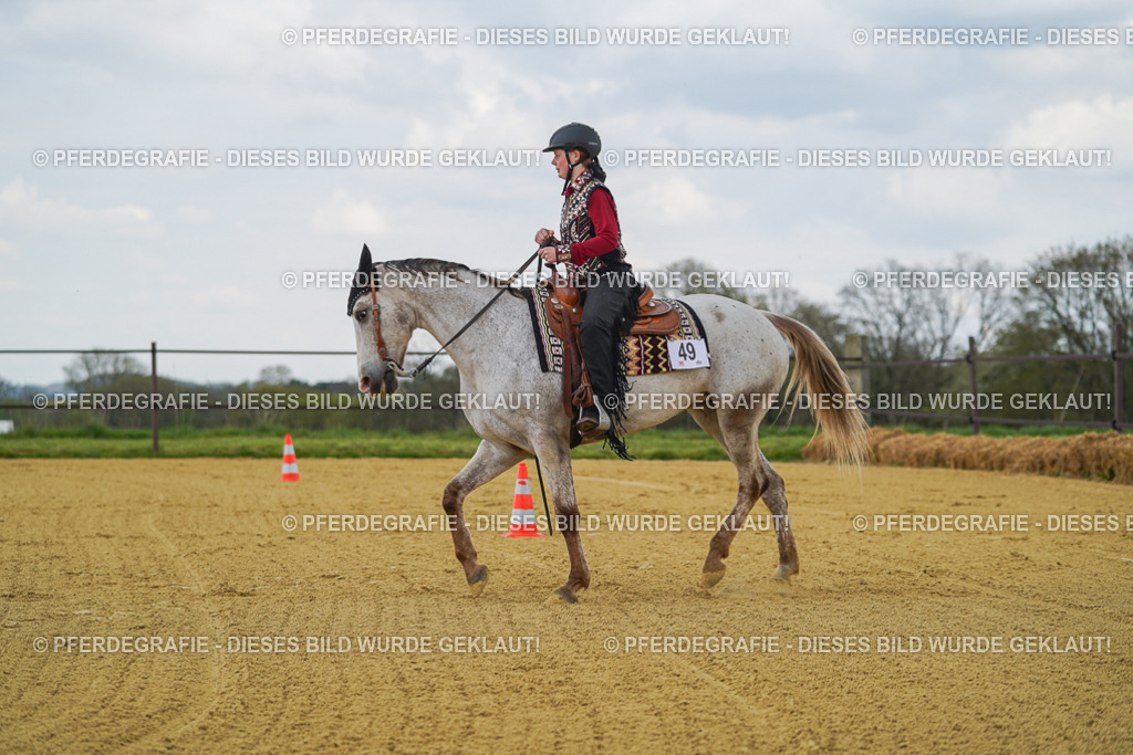 DSC06090 | Pferdegrafie