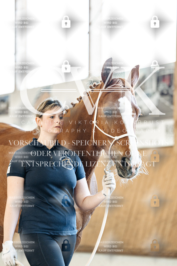 CK906091 | Turnierfotografie Pferdefotografie Trier Rheinland-Pfalz Pferdesport Reitsport Tierfotografie Sportfotografie Pferdevideo Pferdevideografie Equestrianvideography equestrianphotography  - Realisiert mit Pictrs.com