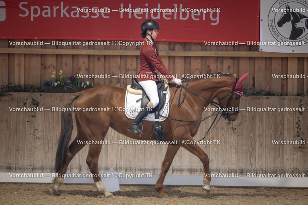 _D5A2067 | Emotionale Pferde- & People-Fotografie rund um Heidelberg, Leimen & Umgebung. Natürliche Fotos von Pferd, Mensch & Familie. Jetzt Termin sichern!