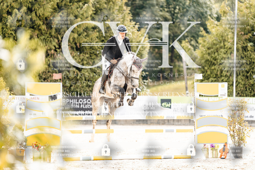 CK909180 | Turnierfotografie Pferdefotografie Trier Rheinland-Pfalz Pferdesport Reitsport Tierfotografie Sportfotografie Pferdevideo Pferdevideografie Equestrianvideography equestrianphotography  - Realisiert mit Pictrs.com