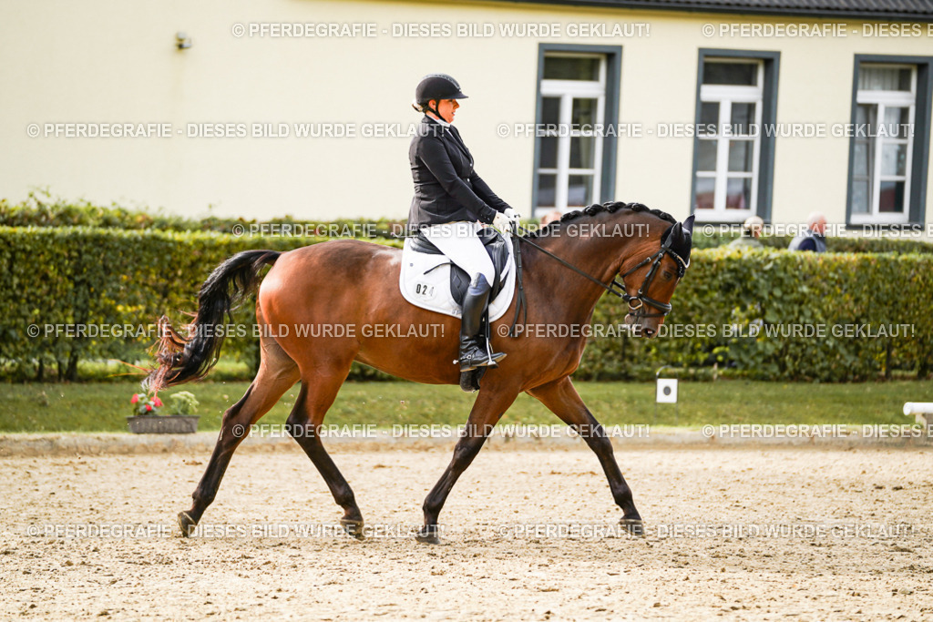 DSC09138 | Pferdegrafie