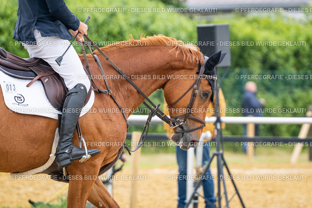 DSC09545 | Pferdegrafie