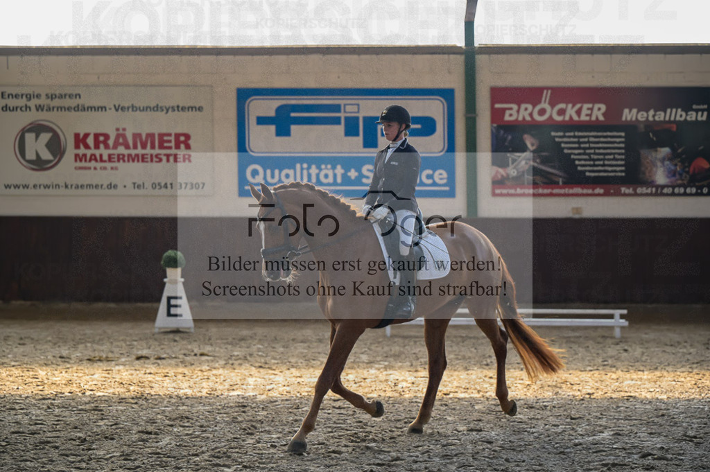 Reitturnier Voxtrup | Entdecke hochwertige Reitturnierfotos von Foto Oger. Professionell, emotional und authentisch – jetzt Lieblingsmomente im Shop bestellen.Deutschlandweite Turnierfotografie. - Realisiert mit Pictrs.com