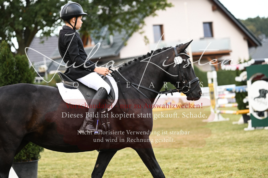 DSC_5726 | Pferde- und Turnierfotografie in Westsachsen. Pferdeportraits, Auftragszeichnungen und intuitive Kunst.