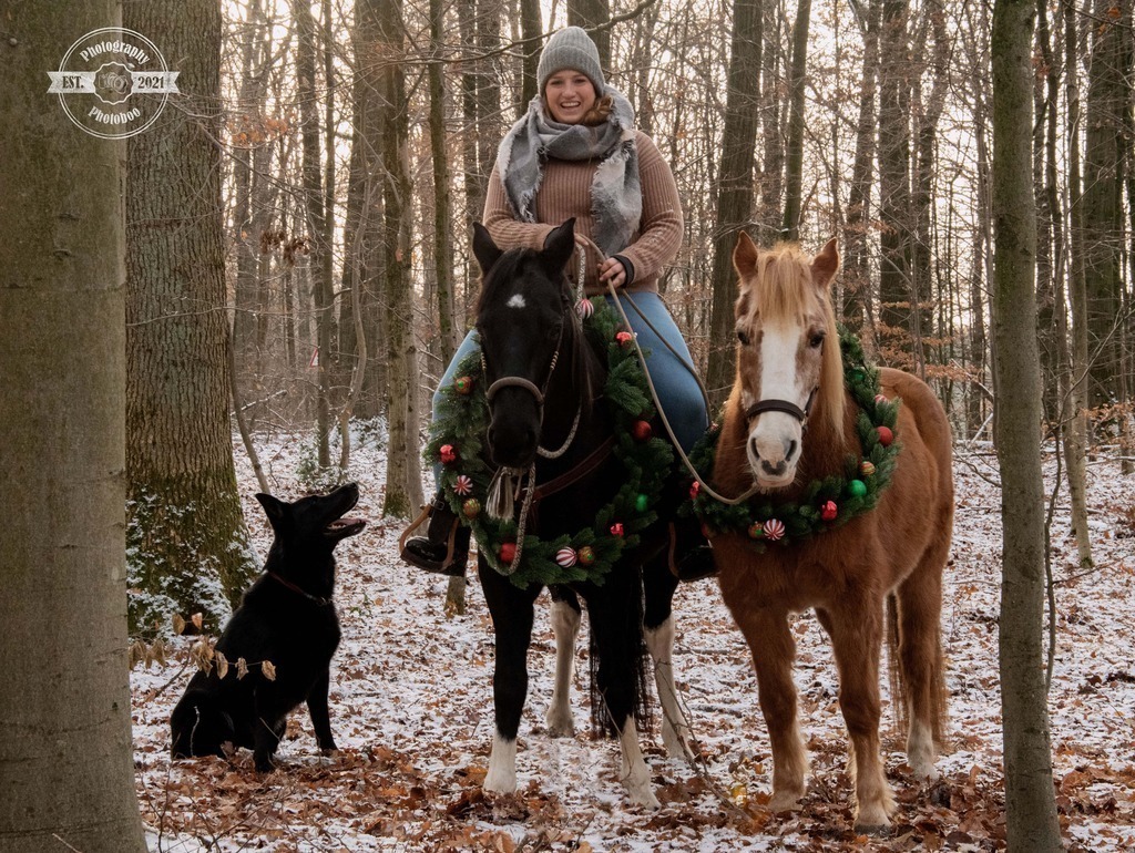Lieblingsbilder_Photoboo_44 | Pferde- und Hundefotografie in Köln und Umgebung von Vanessza Csuka - Realisiert mit Pictrs.com