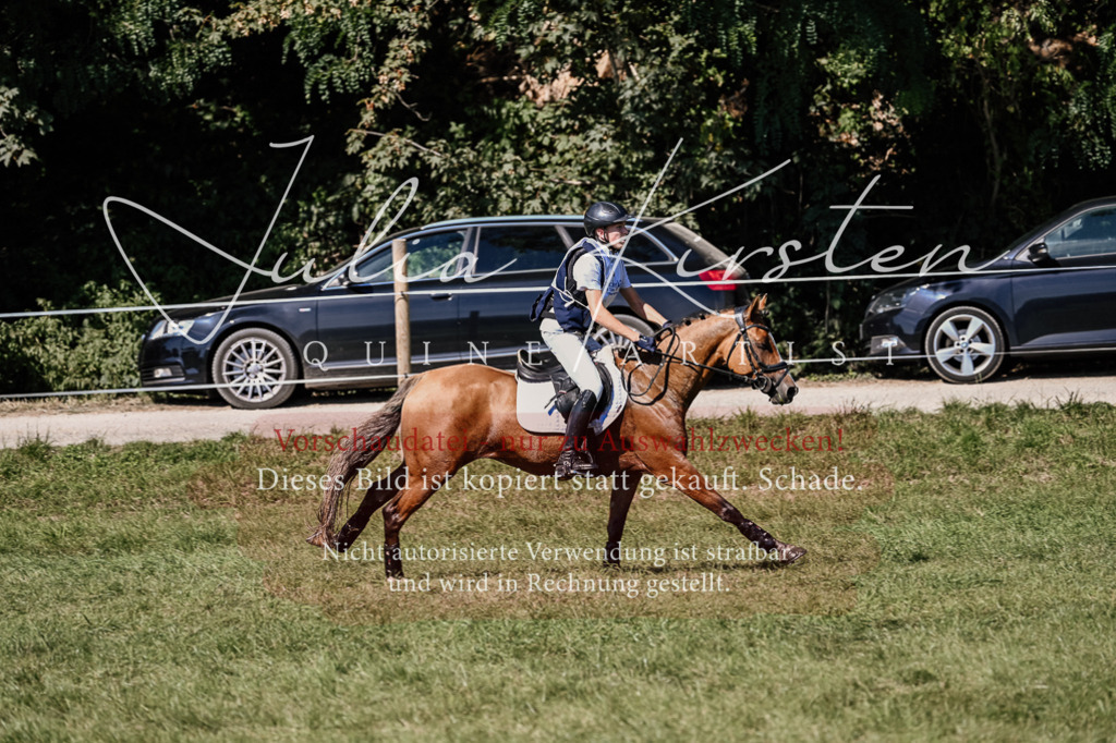 DSC_2097 | Pferde- und Turnierfotografie in Westsachsen. Pferdeportraits, Auftragszeichnungen und intuitive Kunst.