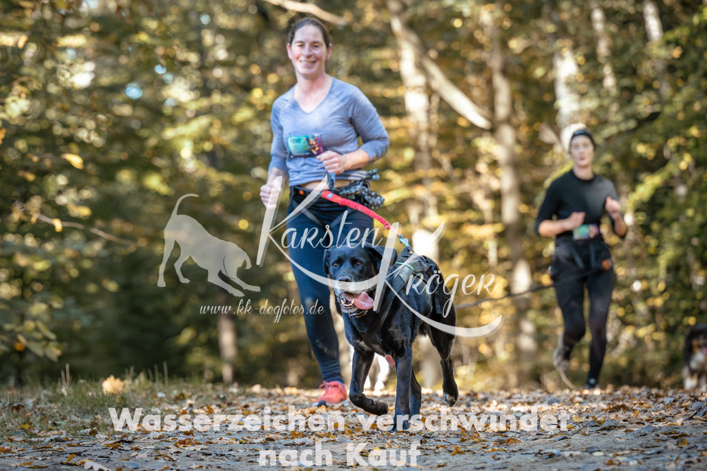 1134_ZZ92723 | kk-dogfotos