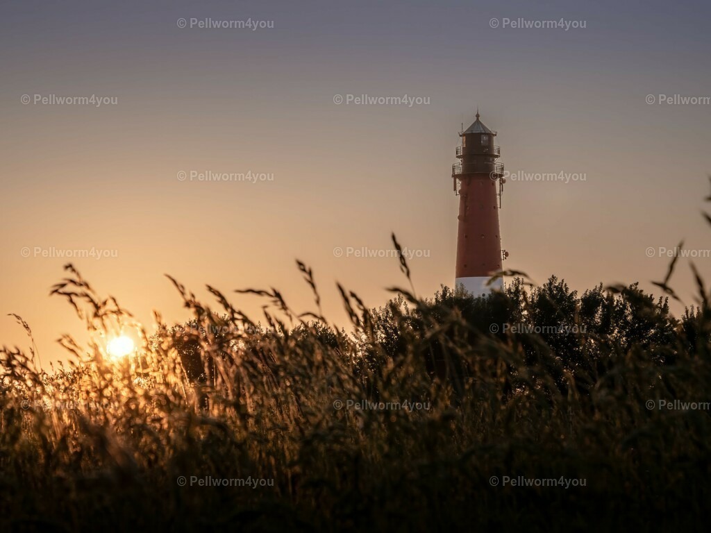 pellworm-kalender-2024-27-denoise-enhance-2x-sharpen | Pellwormer Bilder und Fotos als Poster, auf Leinwand mit Keilrahmen, hinter Acrylglas, auf Alu-Dibond oder Forex-Platte und vieles mehr. Zum verschenken, für die Ferienwohnung oder für zu Hause. - Realisiert mit Pictrs.com