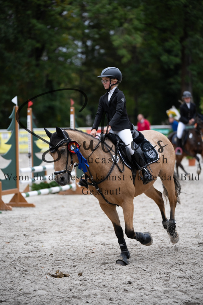 A7V08360 | Pferdefotograf