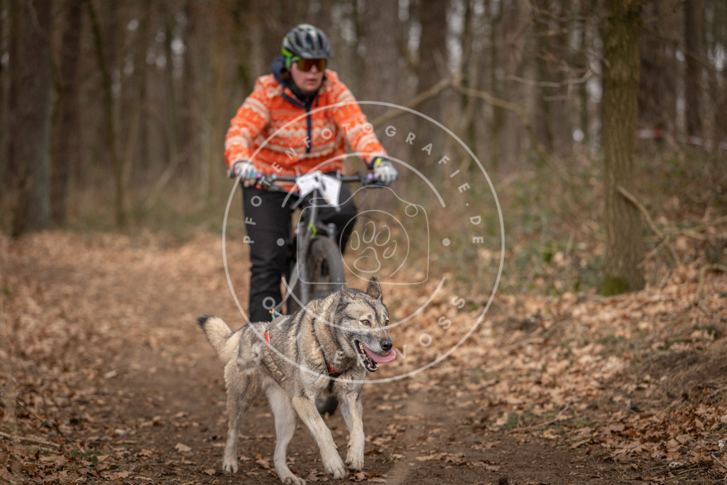 Pfotenfotografie_DV3A7141 | Hundefotografie, Tierfotograf, Pfotenfotografie, Fotoshooting Hund, Hunde Portrait, Hundesport, Hundeportraits, Heideshooting, Hunde, Sportfotograf, Hundefotograf, Turnierhundsport, THS,  - Realisiert mit Pictrs.com