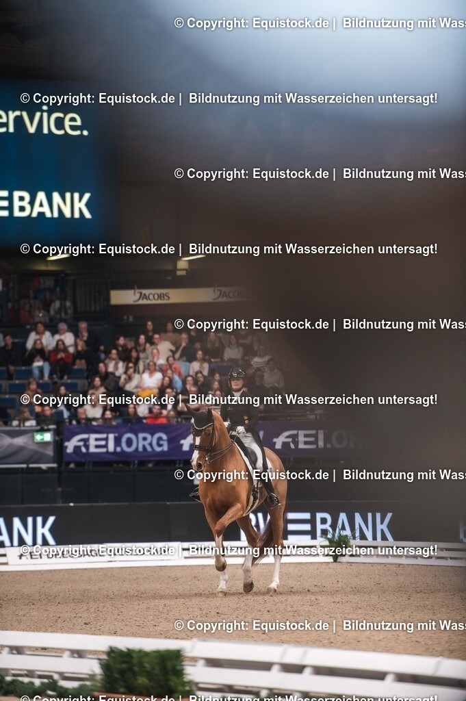 20241116_Dressur-Kür_TOMsPiC_0186 | Foto: Thomas Hartig