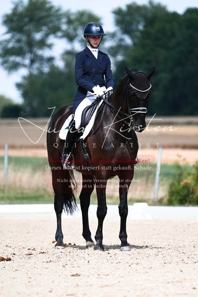 DSC_3125 | Pferde- und Turnierfotografie in Westsachsen. Pferdeportraits, Auftragszeichnungen und intuitive Kunst.