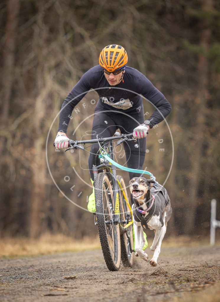 DV3A3188 | Hundefotografie, Tierfotograf, Pfotenfotografie, Fotoshooting Hund, Hunde Portrait, Hundesport, Hundeportraits, Heideshooting, Hunde, Sportfotograf, Hundefotograf, Turnierhundsport, THS,  - Realisiert mit Pictrs.com