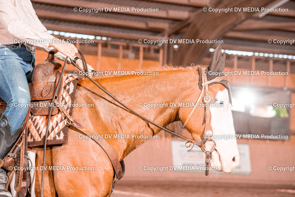 NE300550 | dv-media-shop - Realisiert mit Pictrs.com