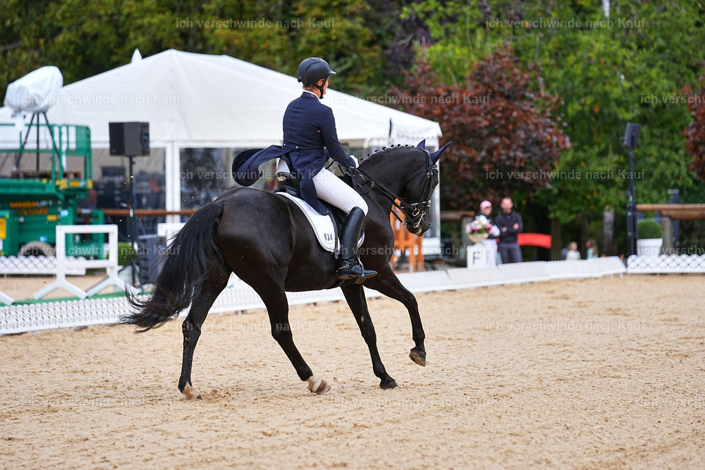 8_1-034-Klasse S_  -Marixx-4029 | working equitationturnier fotograf videograf stoibphotography marixx film working equitation deutschland reitsport turnierfotografie eventfotografie equestrian events