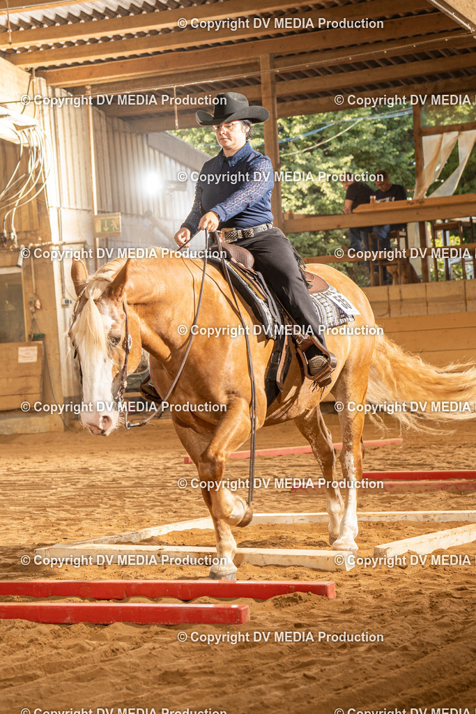 NID02709 | dv-media-shop - Realisiert mit Pictrs.com