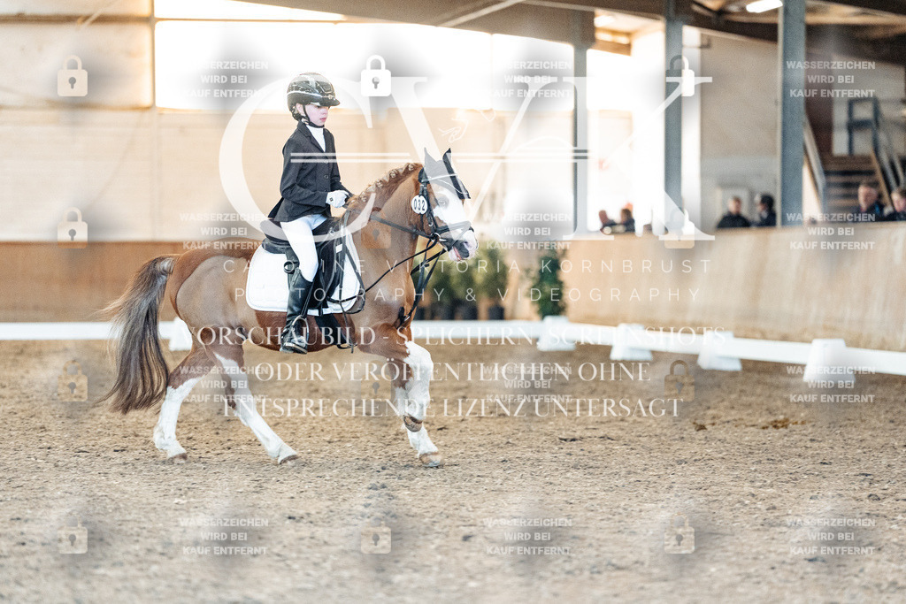 CK907287 | Turnierfotografie Pferdefotografie Trier Rheinland-Pfalz Pferdesport Reitsport Tierfotografie Sportfotografie Pferdevideo Pferdevideografie Equestrianvideography equestrianphotography  - Realisiert mit Pictrs.com