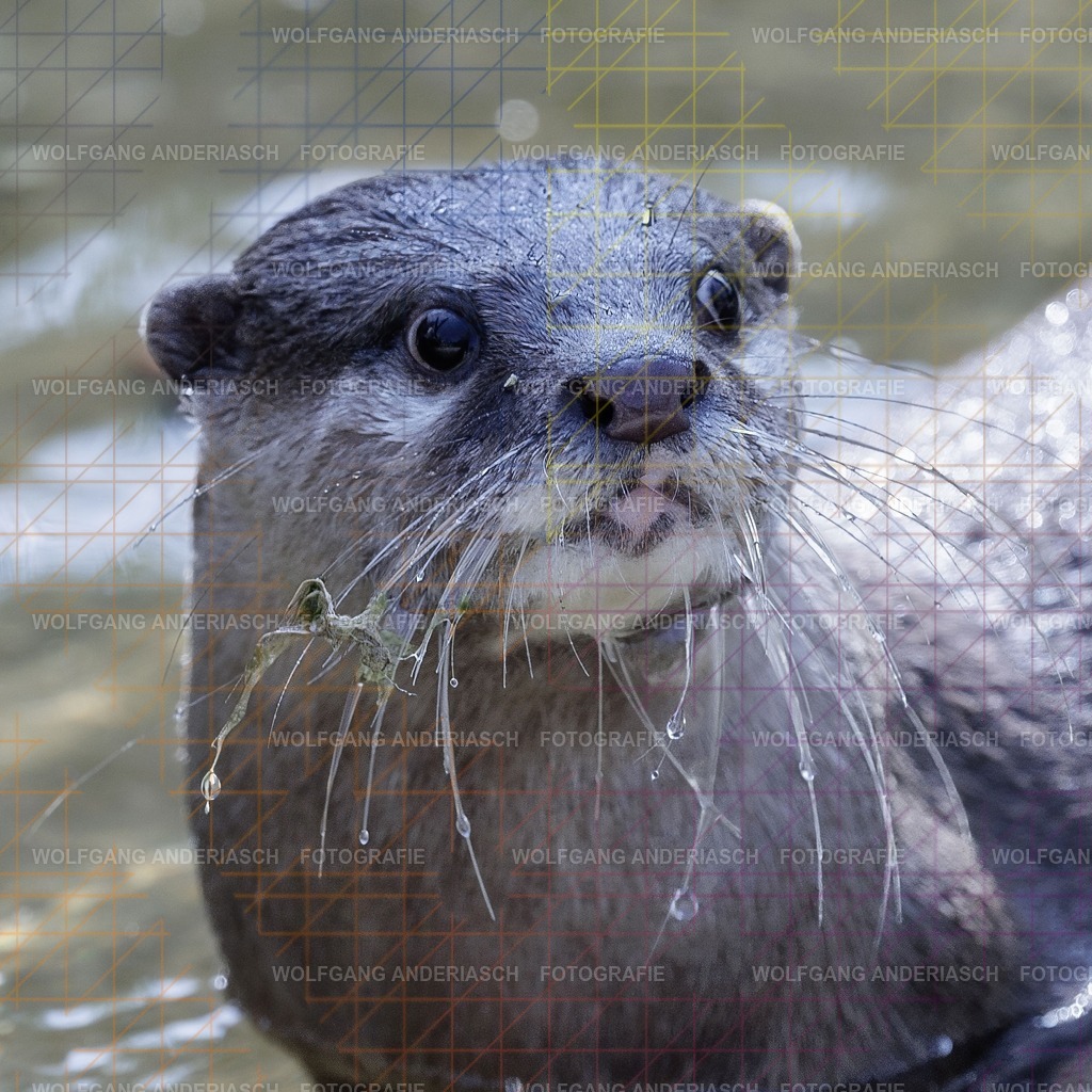 2026414-120536Zoo_Frankfurt100L0683_finish | Im Zoo Frankfurt zeigt sich genau das: kleine Momente, echte Begegnungen, ungefilterte Emotion. - Realisiert mit Pictrs.com