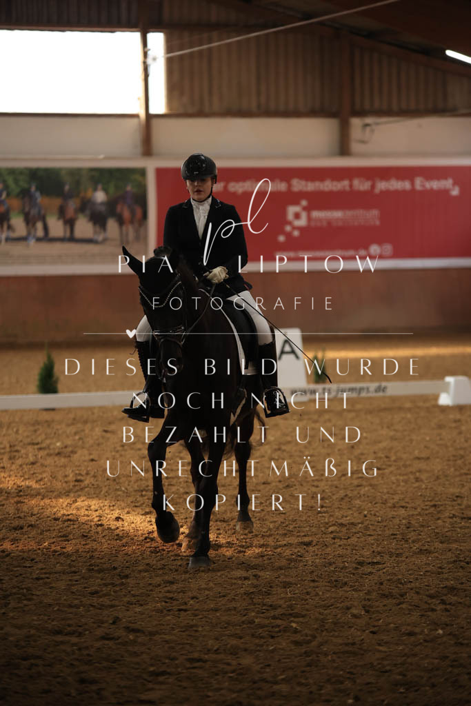 IMGT7362 | pl-fotografie