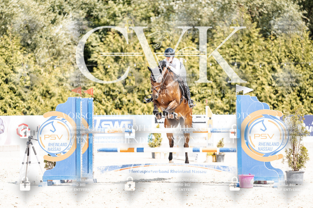 CK901011 | Turnierfotografie Pferdefotografie Trier Rheinland-Pfalz Pferdesport Reitsport Tierfotografie Sportfotografie Pferdevideo Pferdevideografie Equestrianvideography equestrianphotography  - Realisiert mit Pictrs.com