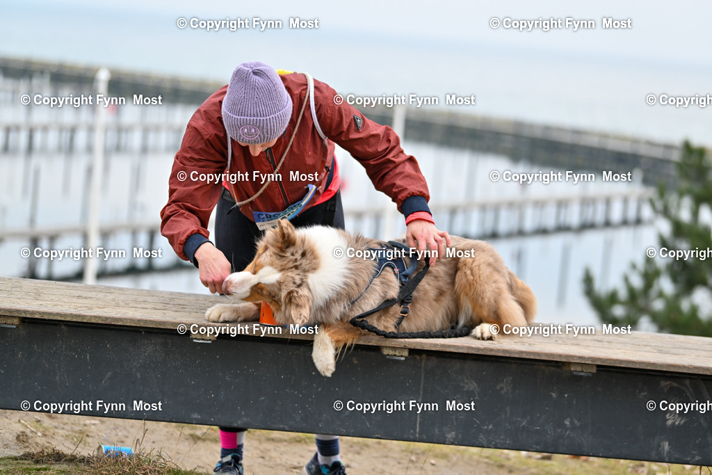 DSC_3598 | Hallo und herzlich Willkommen auf meiner Shop-Seite Fynn Most.

Ich wünsche Dir viel Spaß beim stöbern durch die Bilder, wenn Du Fragen hast oder Bilder vermisst, kannst du mir gerne eine Nachricht schreiben. - Realisiert mit Pictrs.com