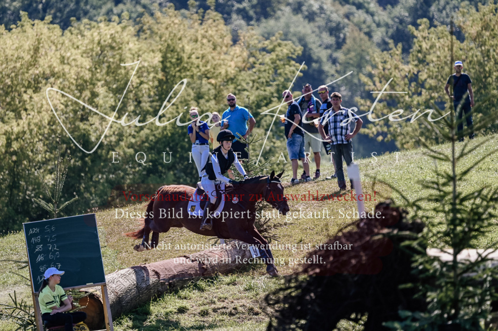 DSC_2728 | Pferde- und Turnierfotografie in Westsachsen. Pferdeportraits, Auftragszeichnungen und intuitive Kunst.