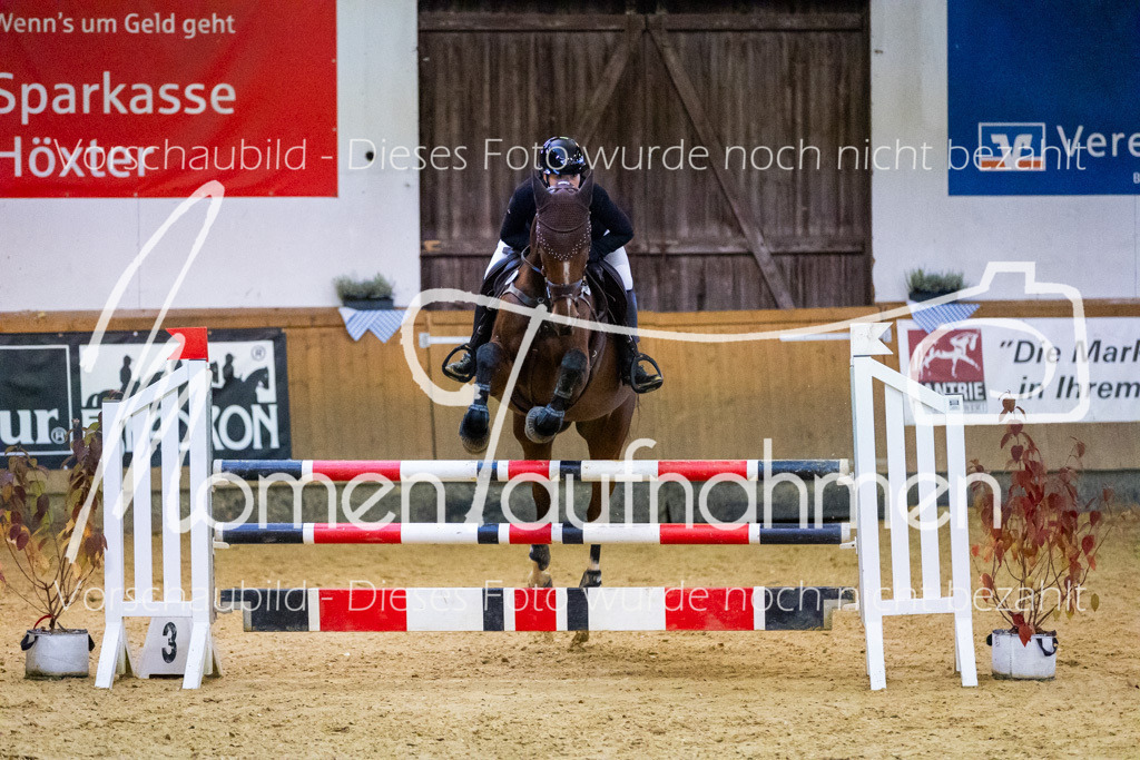 Sth-L-Springen-063 | MomenTaufnahmen Pferdesportfotos