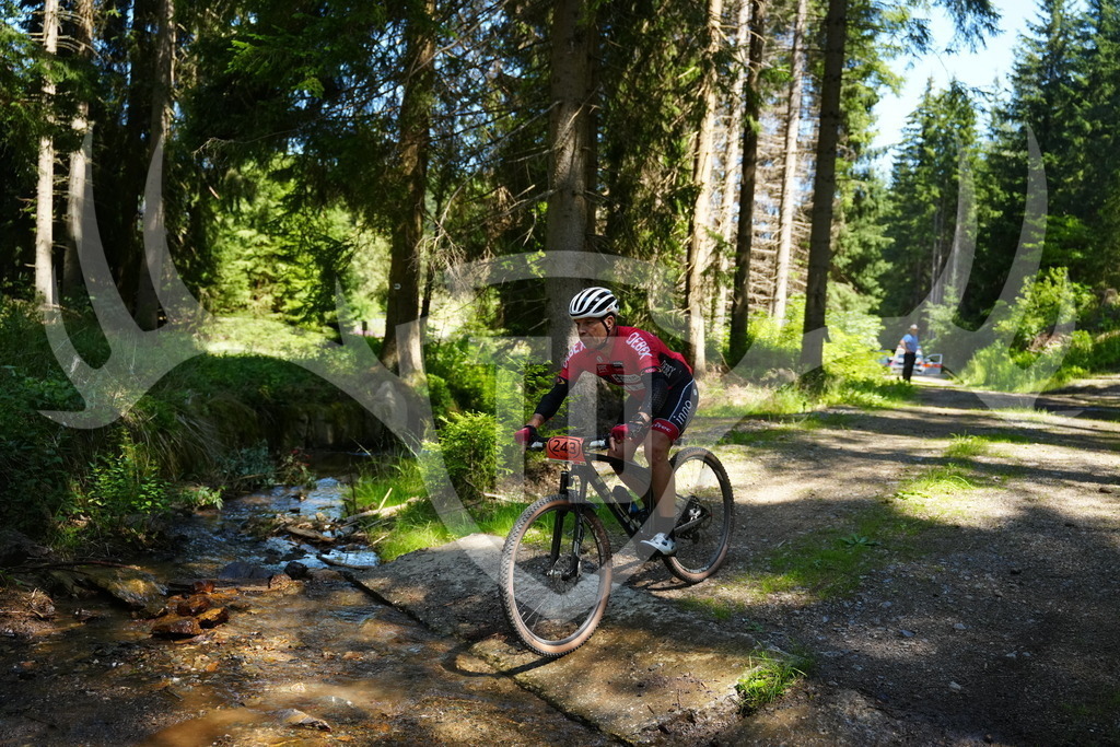 FC101779 | Fotogalerie der Treibjagd im Dunkelwald - Dein MTB Etappenrennen im Erzgebirge - Realisiert mit Pictrs.com