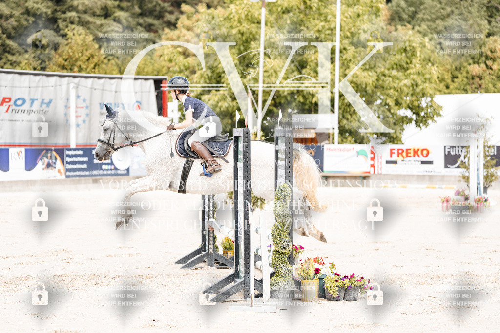 CK906796 | Turnierfotografie Pferdefotografie Trier Rheinland-Pfalz Pferdesport Reitsport Tierfotografie Sportfotografie Pferdevideo Pferdevideografie Equestrianvideography equestrianphotography  - Realisiert mit Pictrs.com