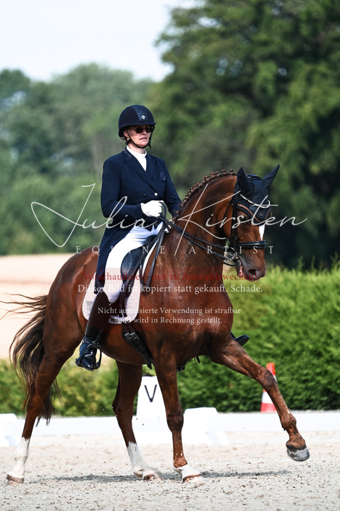 DSC_3209 | Pferde- und Turnierfotografie in Westsachsen. Pferdeportraits, Auftragszeichnungen und intuitive Kunst.