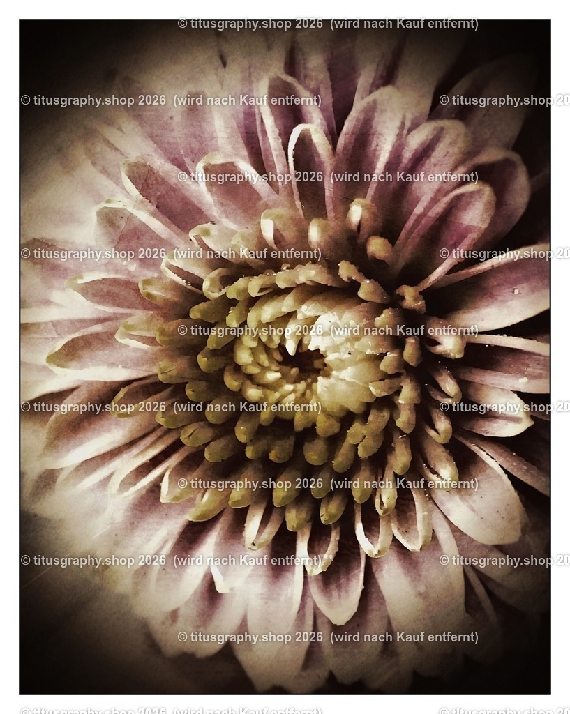 titusgraphy_P7159401-vz-ln_pe-03_pe-12 | titusgraphy-shop: Geschenkideen mit Qualitätsfotos. titusgraphy-shop: gift ideas with quality photos. titusgraphy-shop: idées cadeaux avec photos de qualité.  - Realisiert mit Pictrs.com