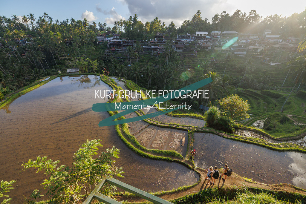 230720-1400 | onlinegalerie und Fotoshop Kurt Gruhlke Fotograf Berlin
Hochzeitsfotograf Eventfotograf Portraitfotografie
 - Realisiert mit Pictrs.com