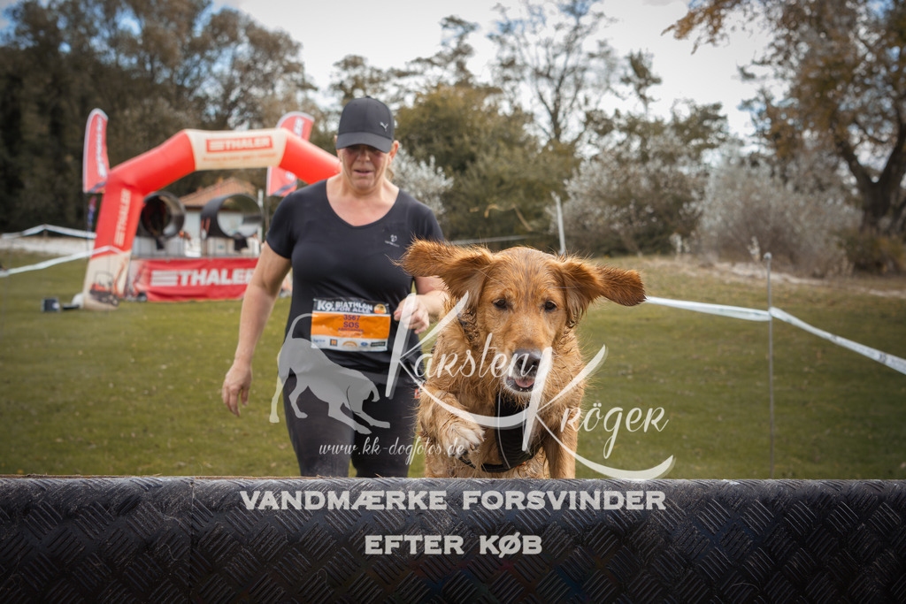 1333_ZZ91314-2 | kk-dogfotos