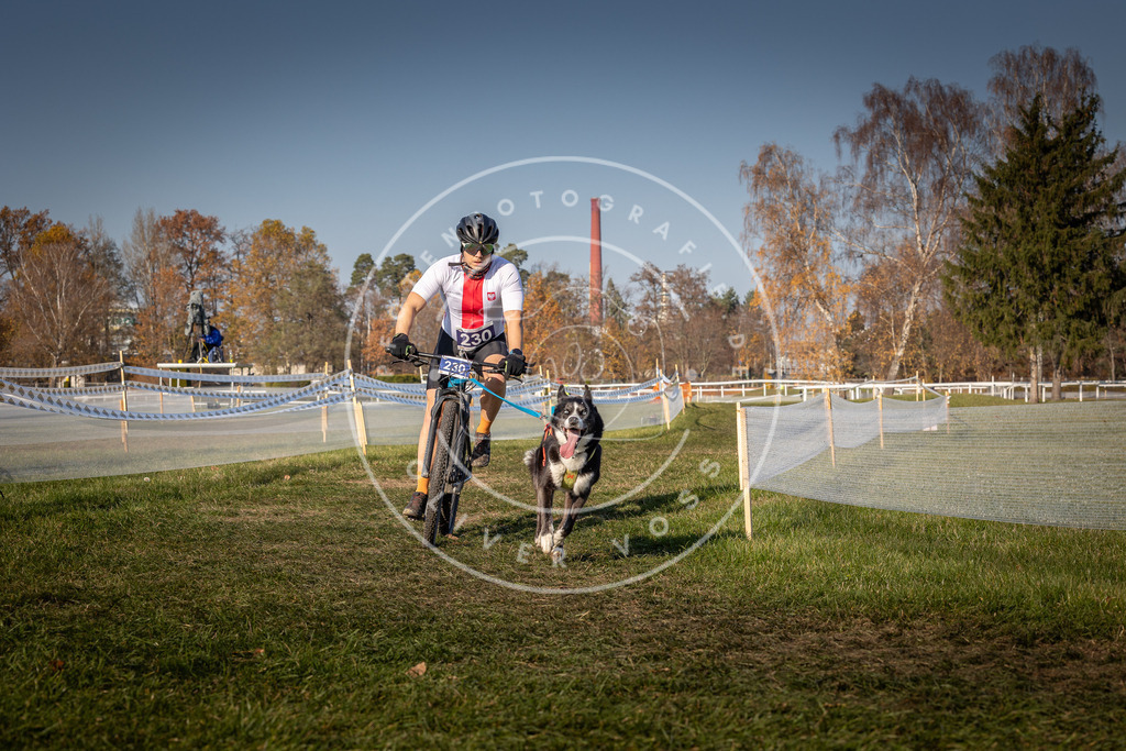 CaniXpix_0L8A8034 | Hundefotografie, Tierfotograf, Pfotenfotografie, Fotoshooting Hund, Hunde Portrait, Hundesport, Hundeportraits, Heideshooting, Hunde, Sportfotograf, Hundefotograf, Turnierhundsport, THS,  - Realisiert mit Pictrs.com
