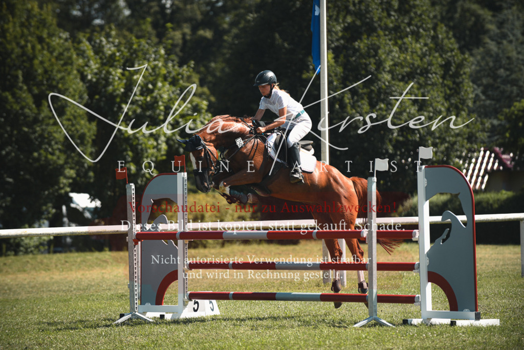 DSC_6871 | Pferde- und Turnierfotografie in Westsachsen. Pferdeportraits, Auftragszeichnungen und intuitive Kunst.