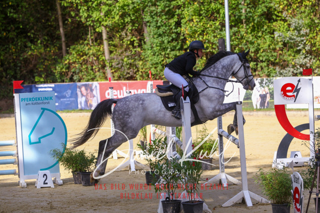 DKP42382 | Deine Turnierfotos vom Reitturnier online kaufen: Dressur, Springen & Siegerehrung. Professionelle Pferdefotografie aus dem Rheinland – als Download & Print.Alternative: Turnierfotograf für den Pferdesport: Finde deine Fotos von Dressur- und Springturnier