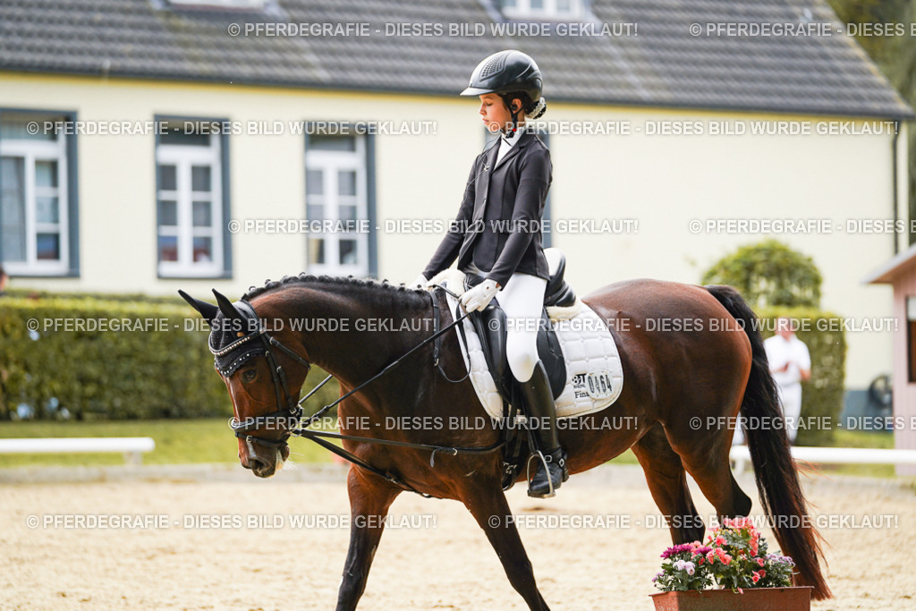 DSC09232 | Pferdegrafie