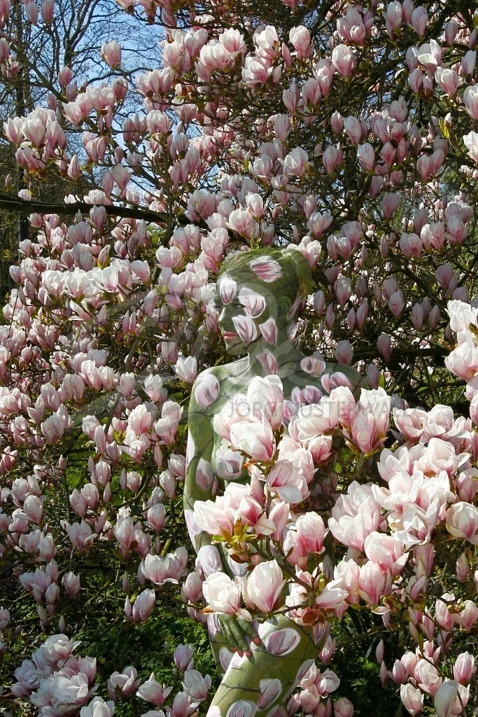 NatureArt-MAGNOLIEN_8540a | Blick aus den Magnolien | #004 | Modell: Daniela | Foto: Tschiponnique Skupin - Realisiert mit Pictrs.com