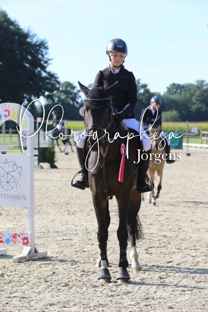 IMG_6401 | photographesa-joergens - Realisiert mit Pictrs.com