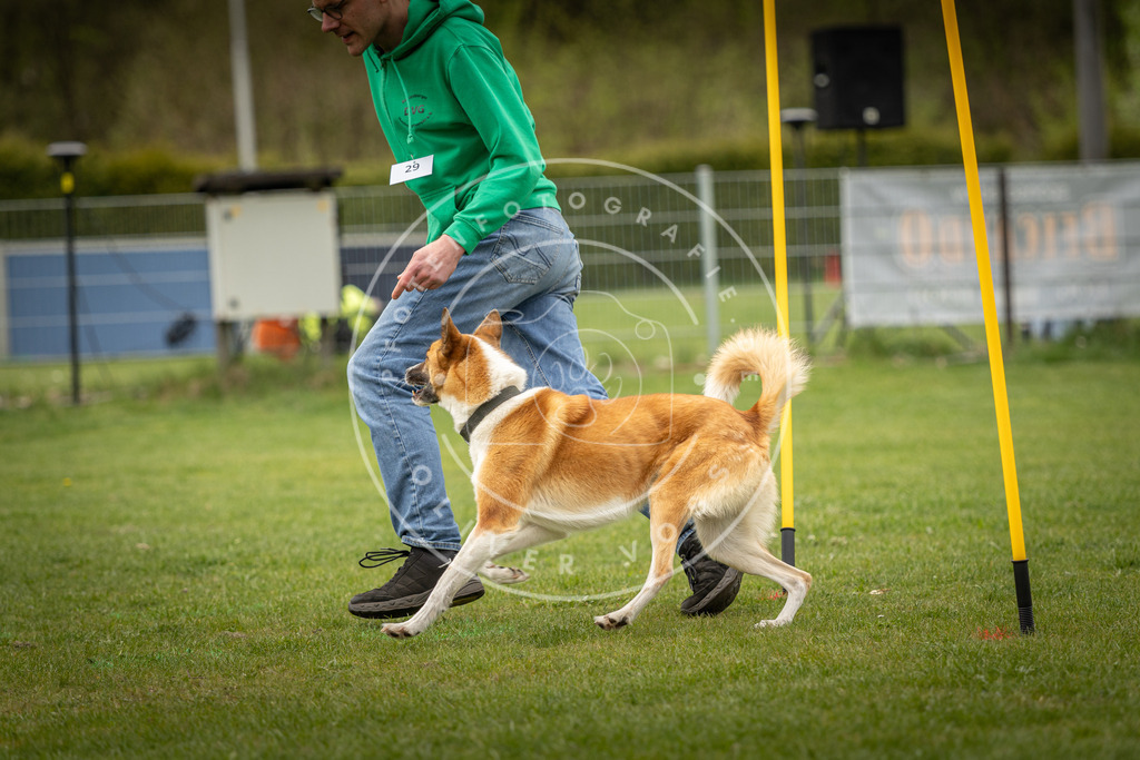Pfotenfotografie_DV3A2132 | Hundefotografie, Tierfotograf, Pfotenfotografie, Fotoshooting Hund, Hunde Portrait, Hundesport, Hundeportraits, Heideshooting, Hunde, Sportfotograf, Hundefotograf, Turnierhundsport, THS,  - Realisiert mit Pictrs.com