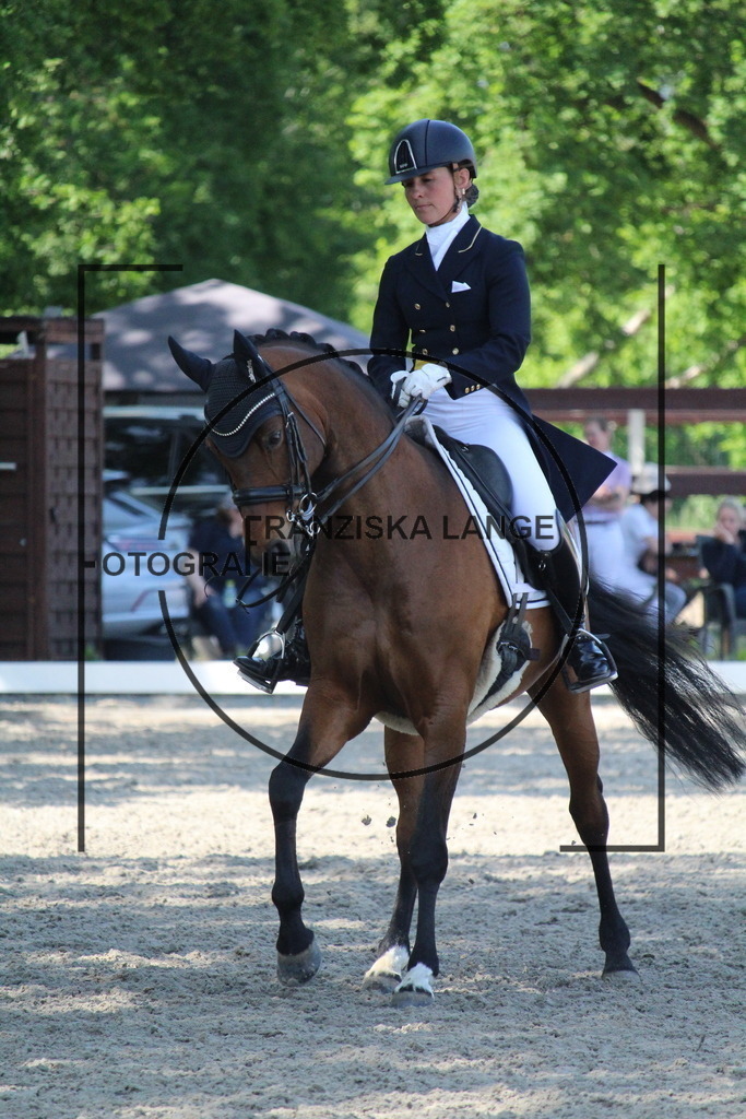 IMG_5272 | franziskalange - Realisiert mit Pictrs.com