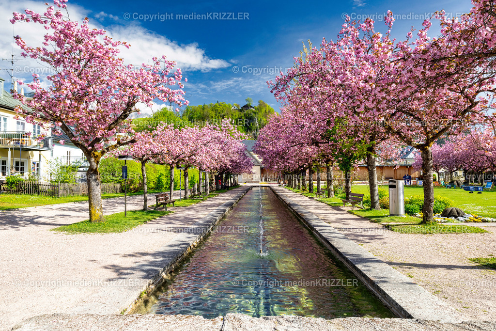 _J3A8868 | medienkrizzler - Realisiert mit Pictrs.com