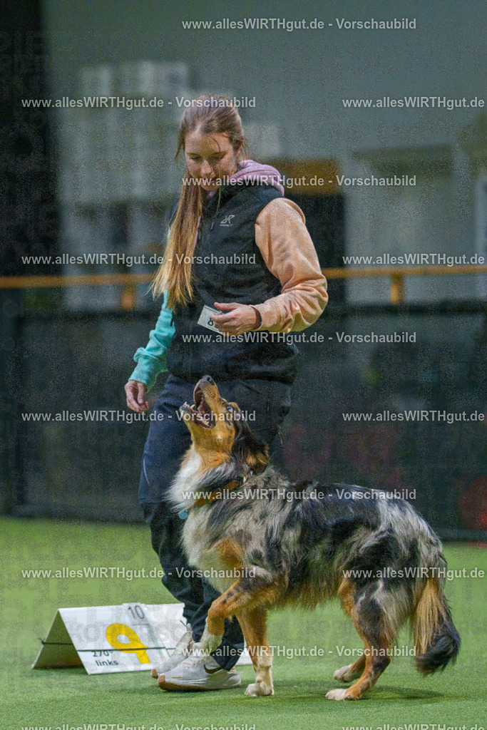 7R507690 | Professionelle Tierfotografie in Mönchengladbach von Daniel Wirth (allesWIRTHgut). Liebevolle & natürliche Bilder von Hunden & Katzen für unvergessliche Erinnerungen.