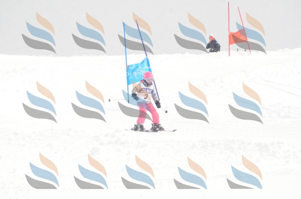 A4999 | holidayphoto