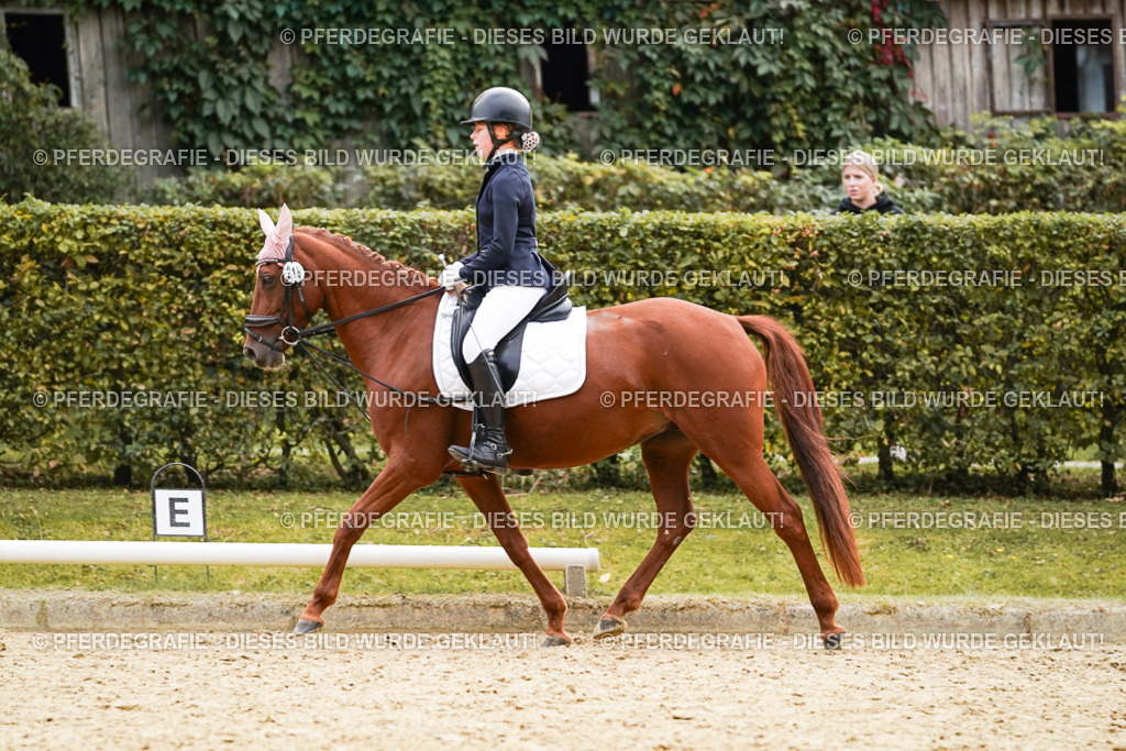 DSC09515 | Pferdegrafie