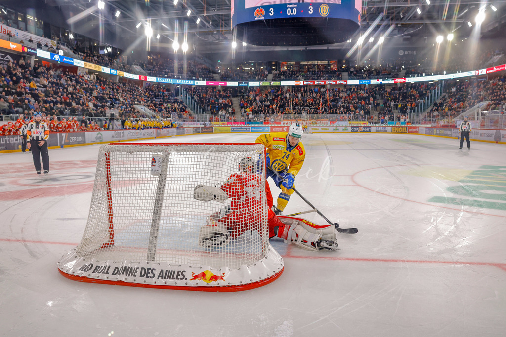EHCB vs HCD 20260106_wb-1444 | Sportbilder, Sportfotograf, Hochzeits- und Eventfotografin, Flugshows, Portraits und Tiershooting, Aviation, Downhill, Nationalleague, Swissleague, International