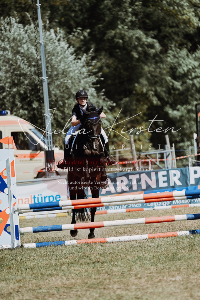 DSC_9705 | Pferde- und Turnierfotografie in Westsachsen. Pferdeportraits, Auftragszeichnungen und intuitive Kunst.