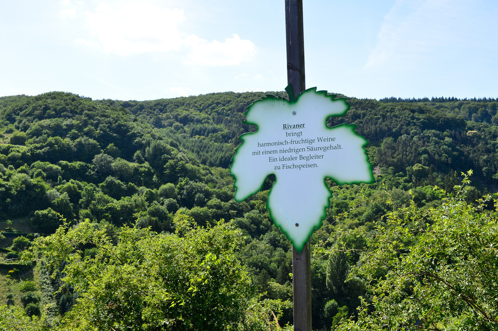 045Philips_Partnerevent2018_Foto_SWernz_highres | Fotograf Köln - Realisiert mit Pictrs.com