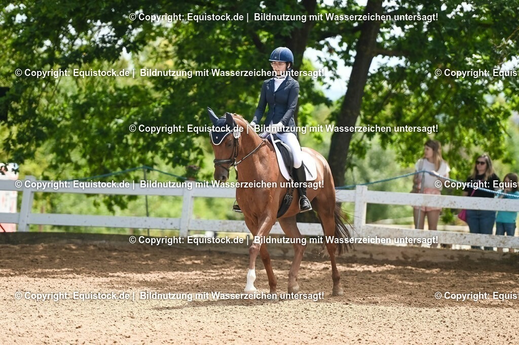 20230716_03_Dressurprfg. Kl.L - Tr._0297 | equistock